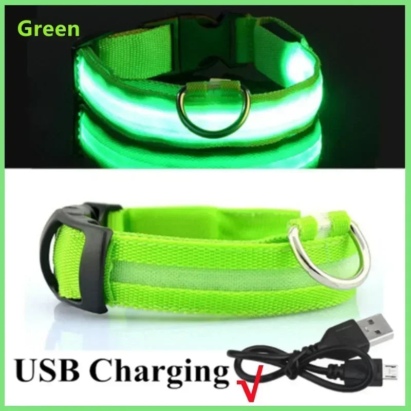 Pawfectly LED Glowing Night-Safe Collar for Small Dogs & Cats 🐾✨