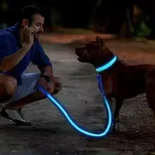 Pawfectly LED Glowing Night-Safe Collar for Small Dogs & Cats 🐾✨