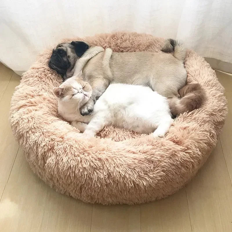 Pawfectly Super-Soft Plush Donut Bed for Cats & Small Dogs 🐾🛌
