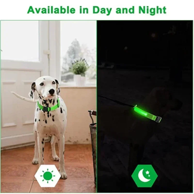 Pawfectly LED Glowing Night-Safe Collar for Small Dogs & Cats 🐾✨