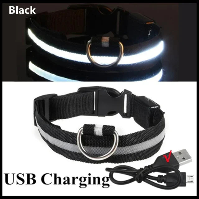 Pawfectly LED Glowing Night-Safe Collar for Small Dogs & Cats 🐾✨