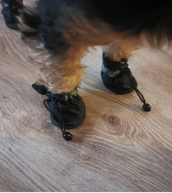 Pawfectly Waterproof Pet Boots — 4-Pack Anti-Slip Rain Shoes for Dogs & Cats 🐾☔