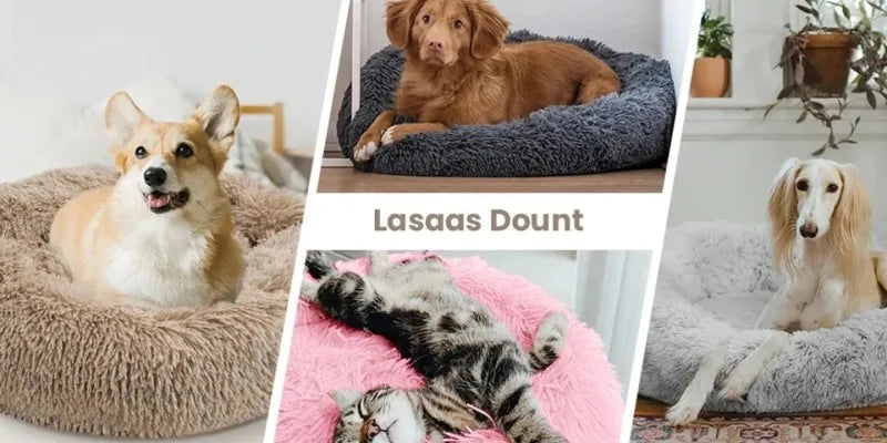 Pawfectly Super-Soft Plush Donut Bed for Cats & Small Dogs 🐾🛌