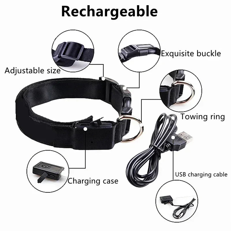 Pawfectly LED Glowing Night-Safe Collar for Small Dogs & Cats 🐾✨